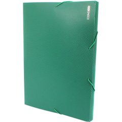 Папка-бокс "Economix" А4 20 мм пластмасовий на гумовий зелена. (1) (20) №E31401-04
