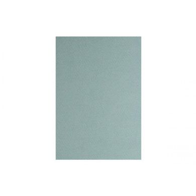 Папір для пастелі "Tiziano" А4 salvia 21 х29,7 см 160 г / м2 №16F4113 (сіро-зелений) (10) №13