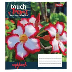Зошит 48арк. кліт. 1В Touch tropics №765469(10)(200)