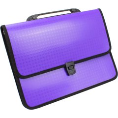 Портфель на застібці Economix Вишиванка E31641-12 пластиковий фіолетовий