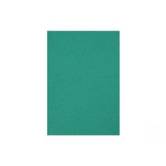 Папір для пастелі "Tiziano" А4 biliardo 21 х29,7 см 160 г / м2 №16F4137 (зелений) (10) №37