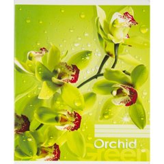 Зошит 60арк. лін. карт.обкл. "Орхідеї" №12095/13006/Поділля/(10)(160)