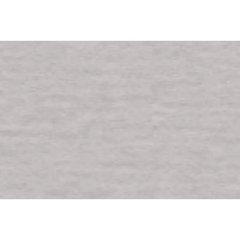 Папір для пастелі "Tiziano" А4 160г/м2 №26 perla/перламутровий №16F4126(10)