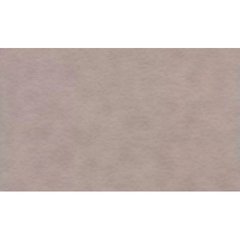 Папір для пастелі "Tiziano" А4 160г/м2 №27 lama/сірий з ворсинками №16F4127(10)