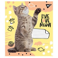 Зошит 12арк. лін. YES Live love meow №765504(25)(500)