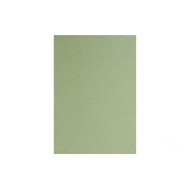Папір для пастелі "Tiziano" А4 muschio 21 х29,7 см 160 г / м2 №16F4114 (оливковий) (10) №14