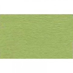 Папір для пастелі "Tiziano" А4 160г/м2 №11 verduzzo/салатовий №16F4111(10)