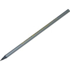 Олівець графітний Bic Evolution 896017/011 без гумки