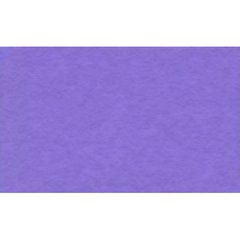 Папір для пастелі "Tiziano" А4 160г/м2 №45 iris/фіолетовий №16F4145(10)